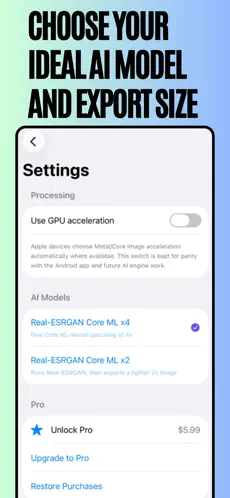 Choose Export Size and Model