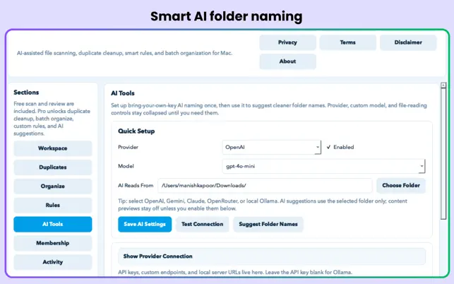 AI File Organizer Pro Mac organization preview