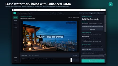 AI Video Watermark Remover Main Interface